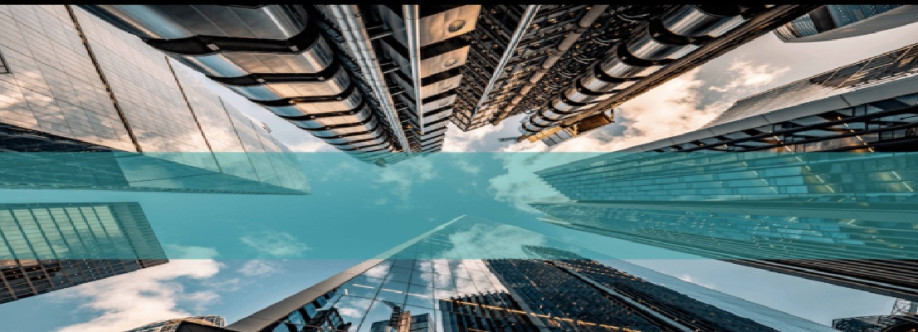 buhconsultingae Cover Image
