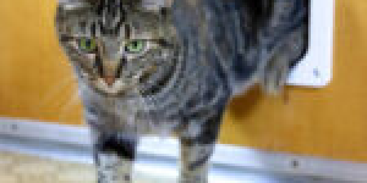 Ten Things You Learned At Preschool To Help You Get A Handle On Cat Door Technician