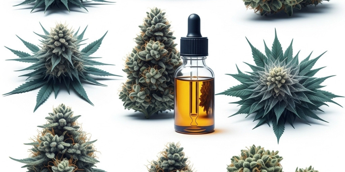 North America Medical Marijuana Market Gross Profit, Business Distribution to 2022-2028