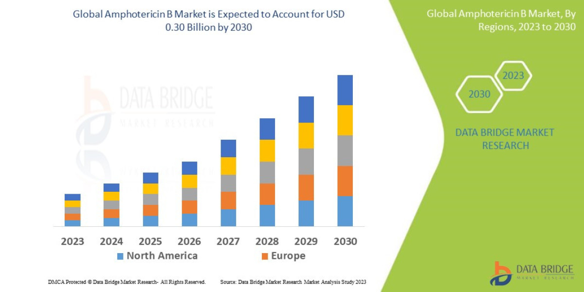 Amphotericin B Market Sees Steady Growth as Fungal Infections and Immunocompromised Cases Rise