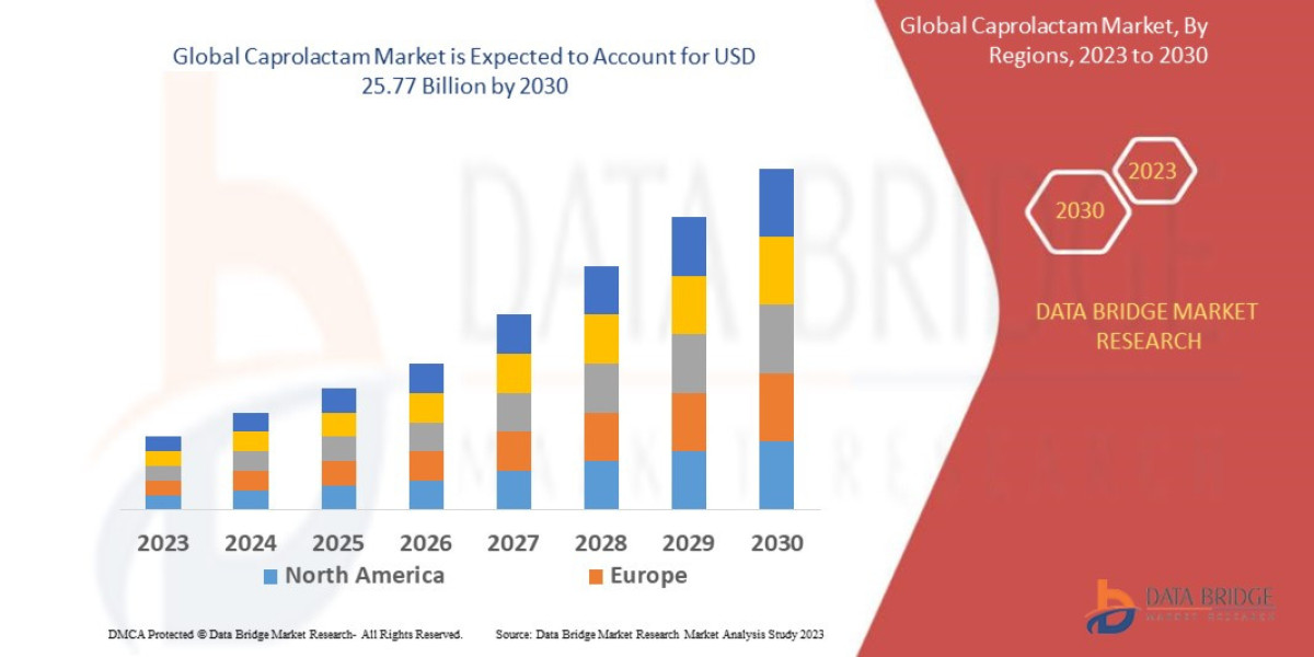 Caprolactam Global  Market: Insights and Landscape by 2025 - 2032