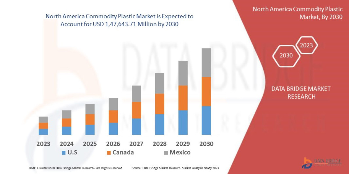North America Commodity Plastic Market Grows with Expanding Packaging and Automotive Sectors