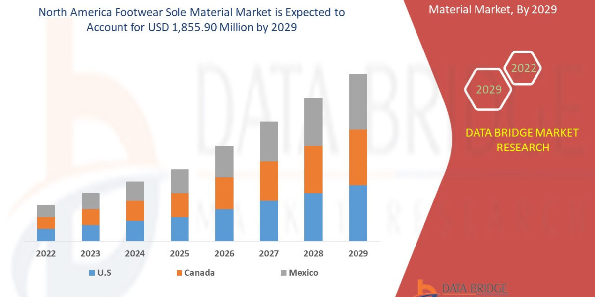 North America Footwear Sole Materials Market: Size, Share, and Future Growth 2024 –2031