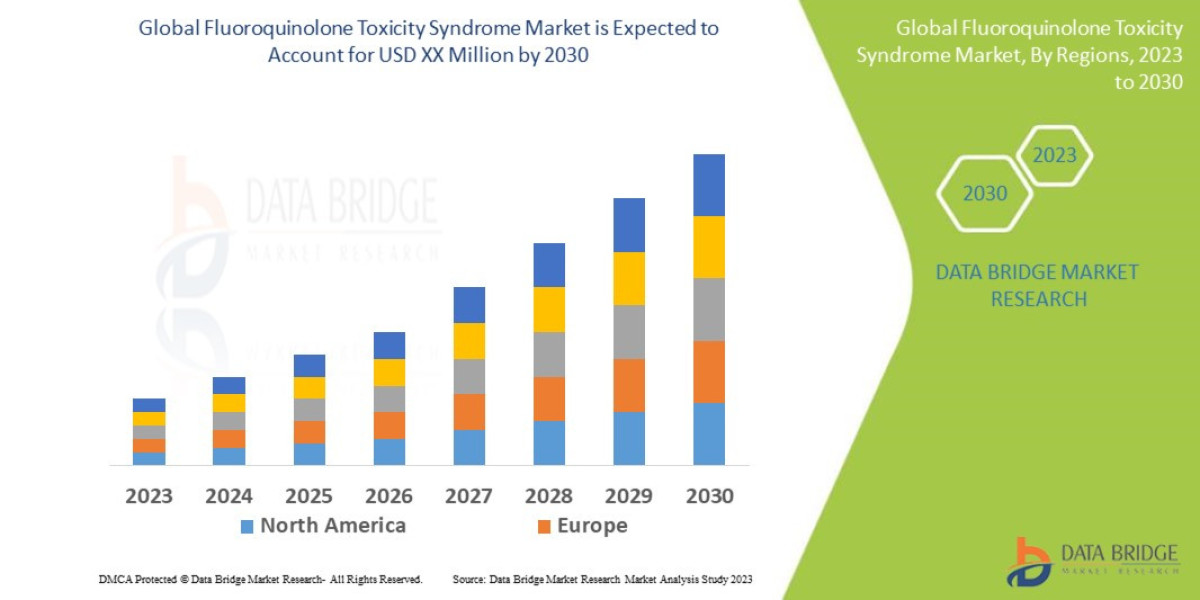 Fluoroquinolone Toxicity Syndrome Market Size, Share, Trends, Demand, Growth and Competitive Outlook