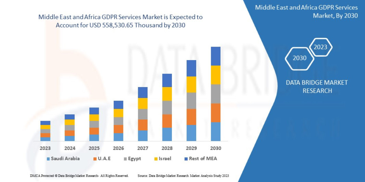 Middle East and Africa GDPR Services Market Growth and Future Trends