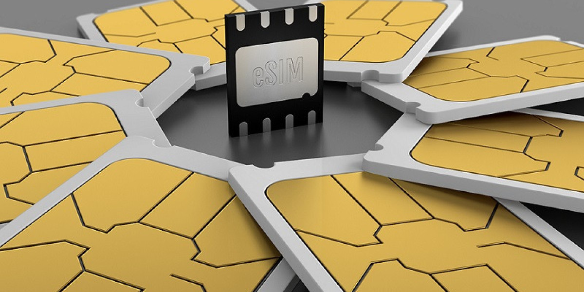 eSIM Market Report on Top Manufacturers Business Strategies to 2030