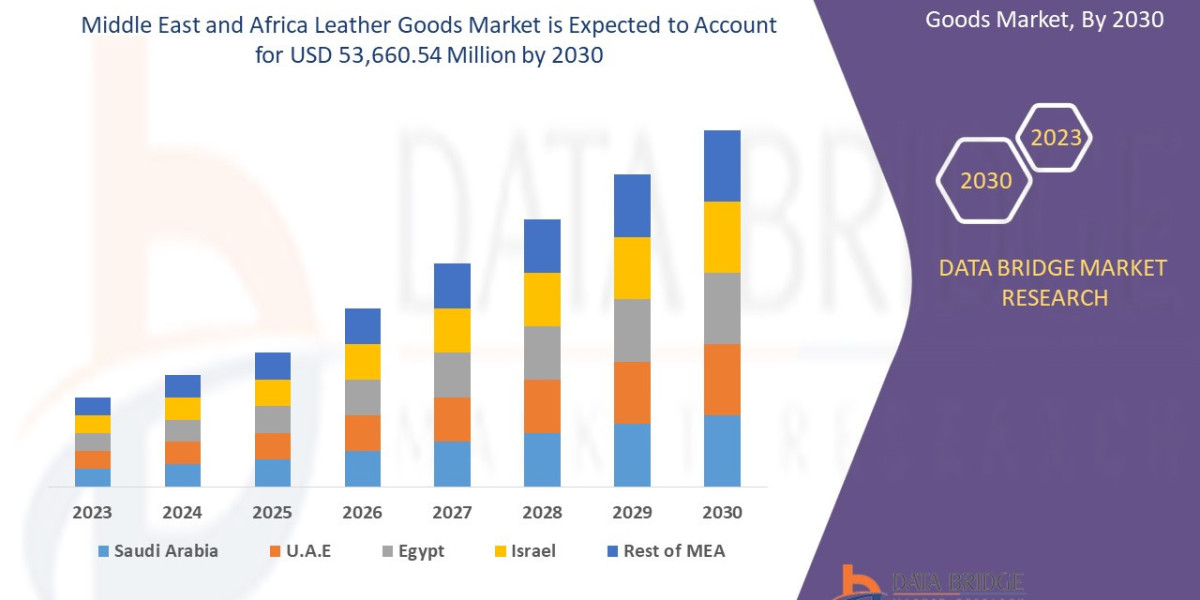 Middle East and Africa Leather Goods Market: Key Trends and Future to 2030Growth Forecast