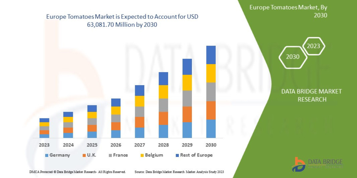 Europe Tomatoes Market Sees Growth with Expanding Processed Foods and Export Opportunities