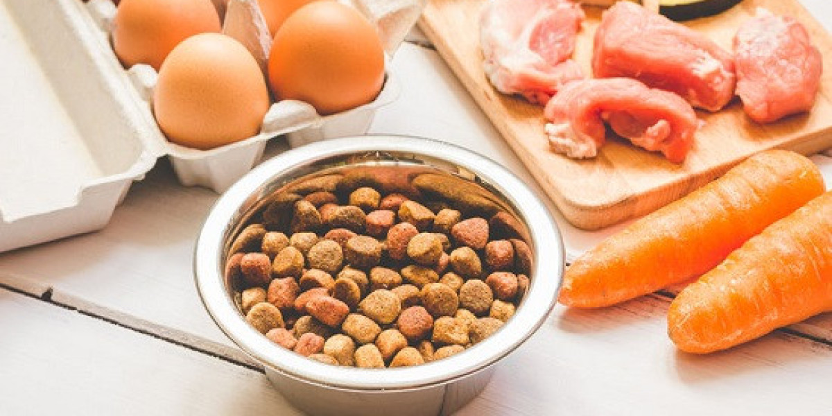 Pet Food Ingredients Market Analysis: 2031 and Beyond