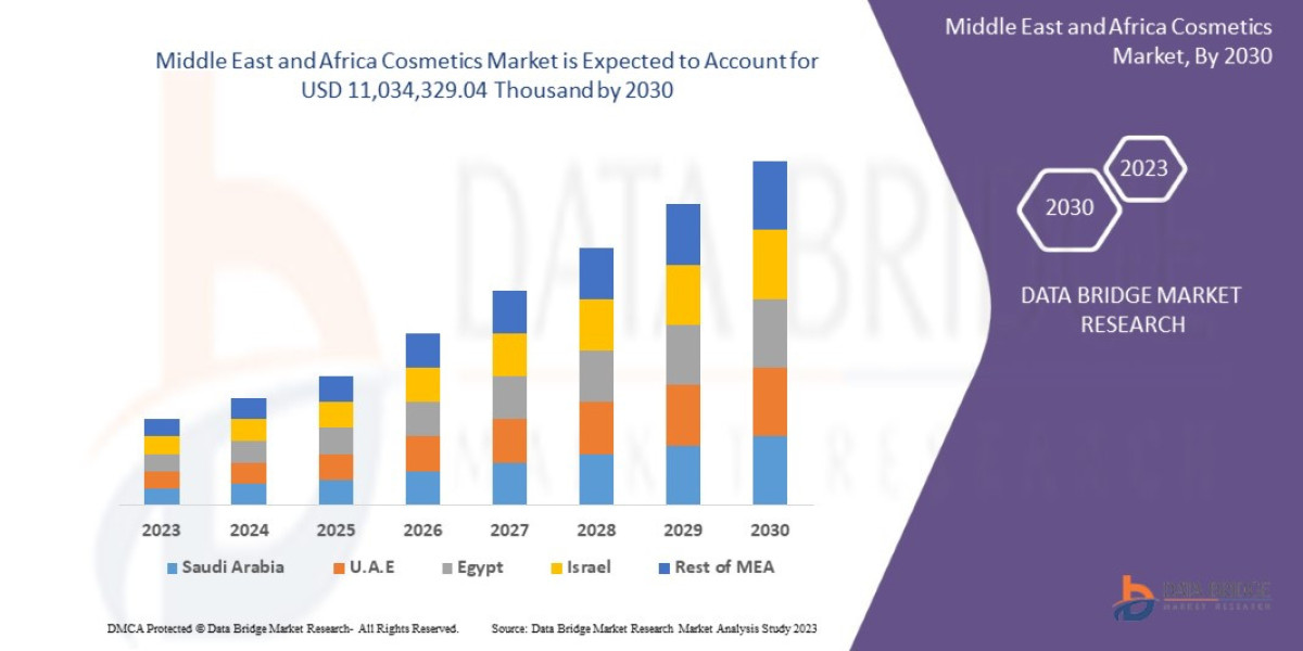 Beauty and Wellness Trends Drive Growth in Middle East and Africa Cosmetics Market