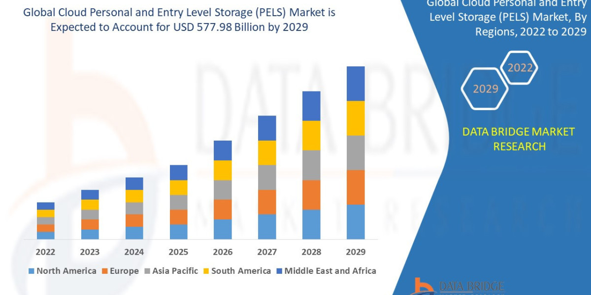 Cloud Personal and Entry Level Storage (PELS) Market Revenue Analysis: Growth, Share, Value, Size, and Insights