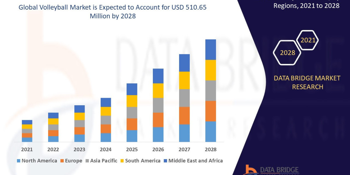 Global Volleyball Market Serves Up Growth with Rising Sports Enthusiasm