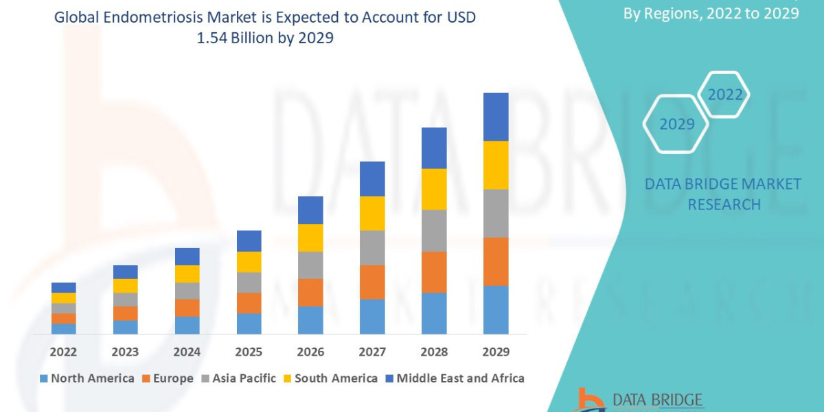 Endometriosis Treatment Market Grows with Improved Diagnostic Awareness and Therapies